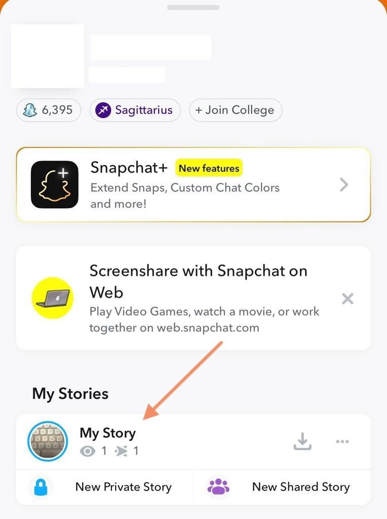 how to see who screenshotted your snapchat story